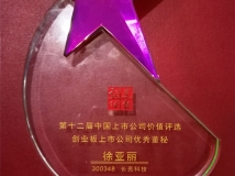 ����������Ůʿ�ٻ񡰵�ʮ�����й���ҵ�����й�˾���춭�ؽ���