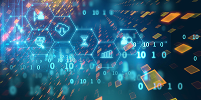 ����admin�������